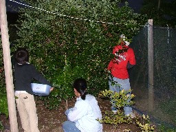 c0017259_1874484.jpg