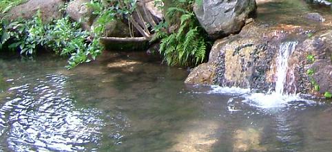 b0048766_2041569.jpg