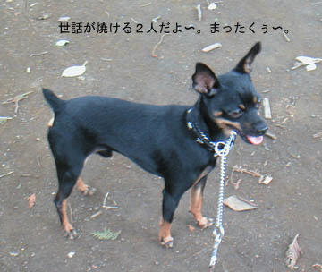 c0012571_1214081.gif