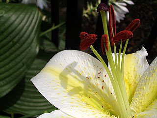 c0045882_20315348.jpg