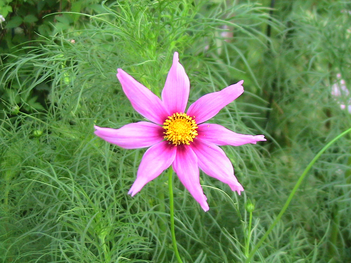 c0016987_2250227.jpg