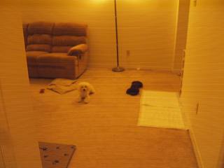 c0013693_13363190.jpg