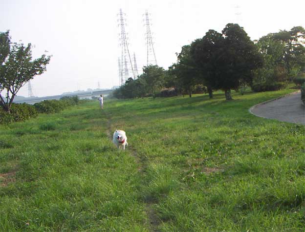 e0018604_15435134.jpg