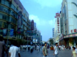 d0020608_22514572.jpg