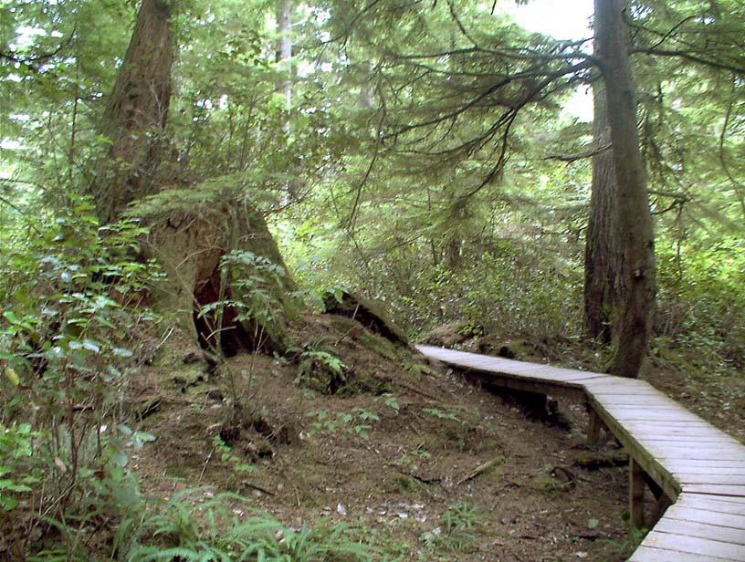 c0018716_2027943.jpg