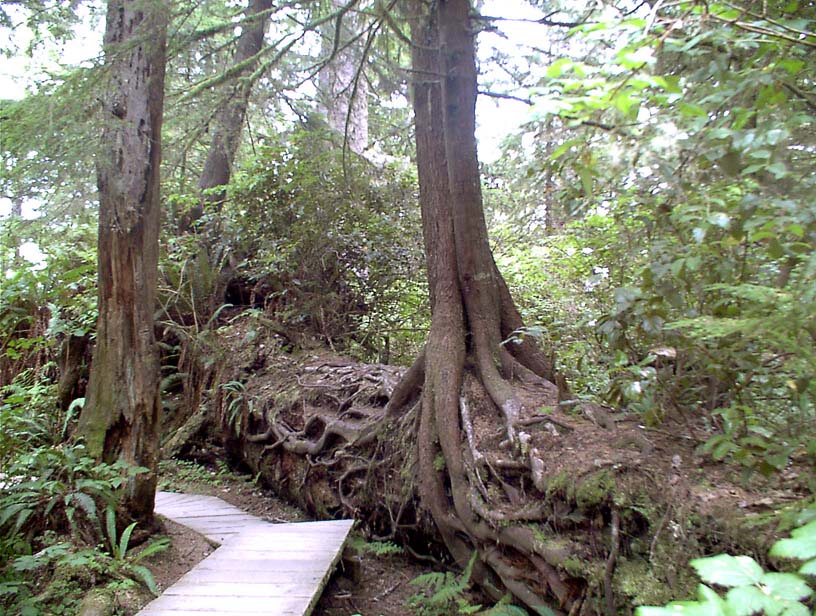 c0018716_20352560.jpg