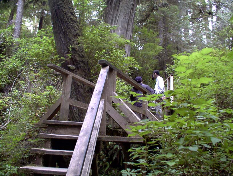 c0018716_20461584.jpg