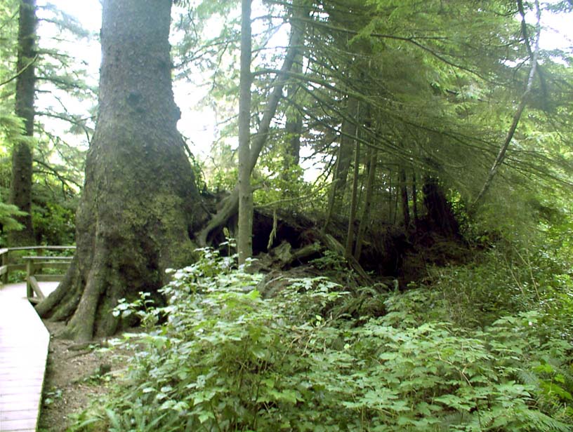 c0018716_20481372.jpg