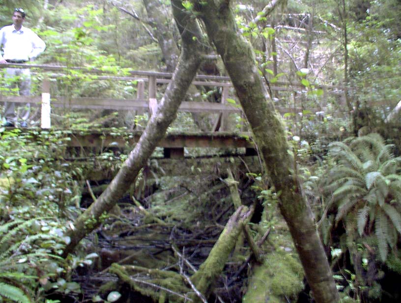 c0018716_20502386.jpg