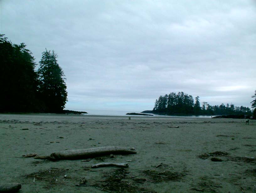 c0018716_20535396.jpg