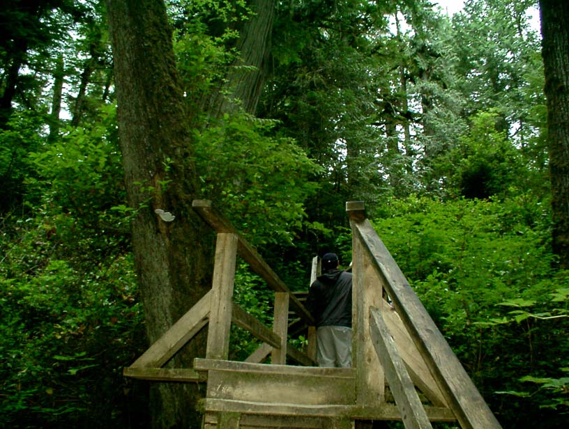 c0018716_21255919.jpg