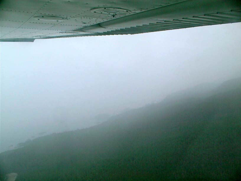 c0018716_21374410.jpg