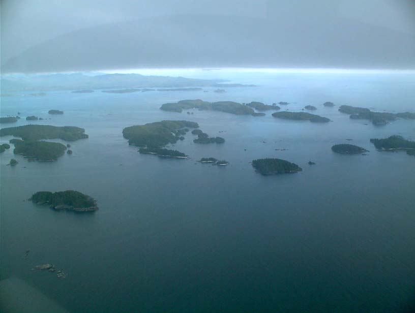 c0018716_2243065.jpg