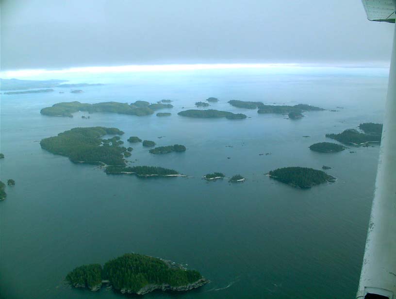 c0018716_2245143.jpg