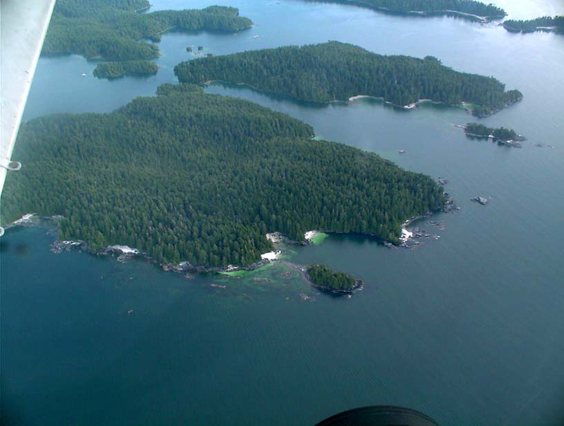 c0018716_2261636.jpg