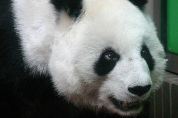 a0017618_20493326.jpg