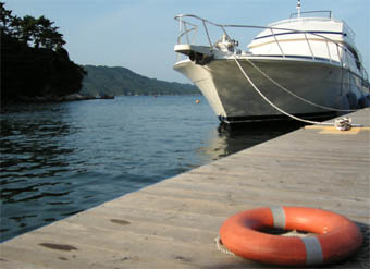 c0069552_2256642.jpg