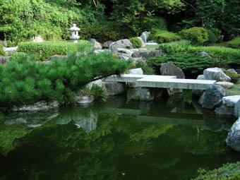 c0069552_2358560.jpg