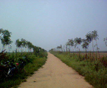 b0032757_22401.jpg
