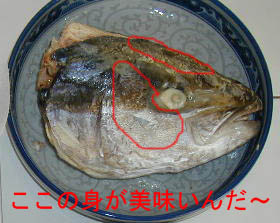 c0006164_5504568.jpg