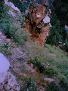 d0006498_2031418.jpg