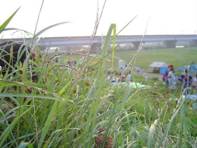 c0006904_20422623.jpg
