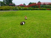 d0046905_20275828.jpg