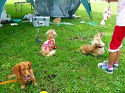 d0046905_20341446.jpg