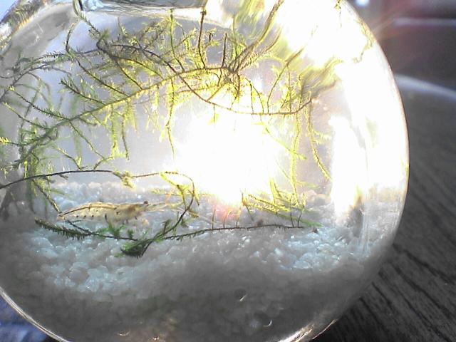 b0048509_11132398.jpg
