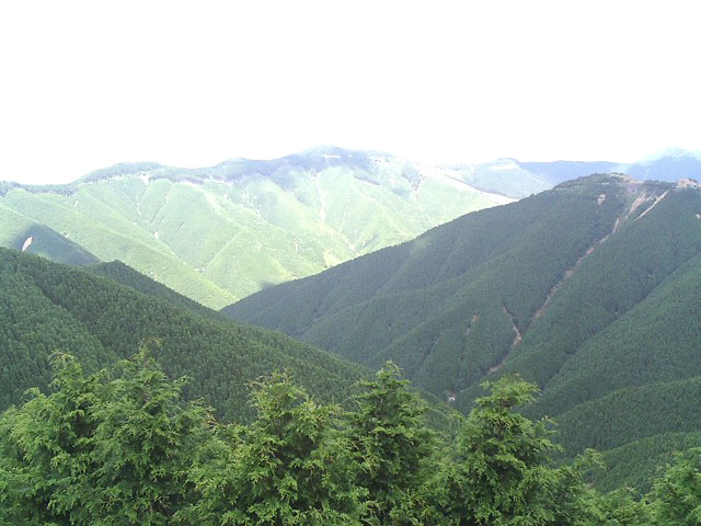 c0041619_23111873.jpg