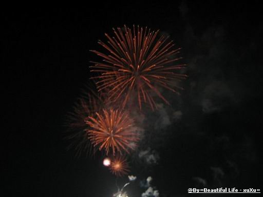 d0005621_13533717.jpg
