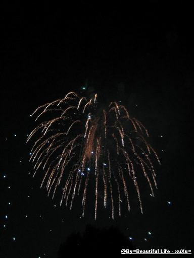 d0005621_13541626.jpg