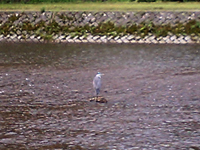 d0022345_12592815.jpg