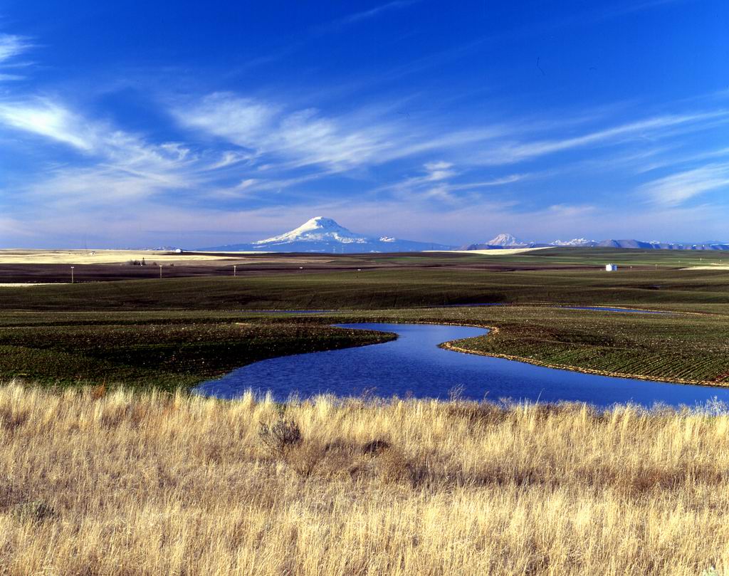 c0026846_12594889.jpg