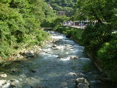 c0029455_1902154.jpg