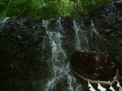 c0029455_1902855.jpg
