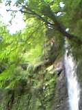 d0007957_2335451.jpg