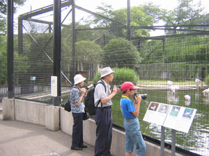 b0046664_1917118.jpg