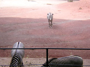 b0046664_19262980.jpg