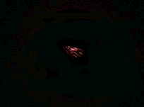 b0060071_4314549.gif