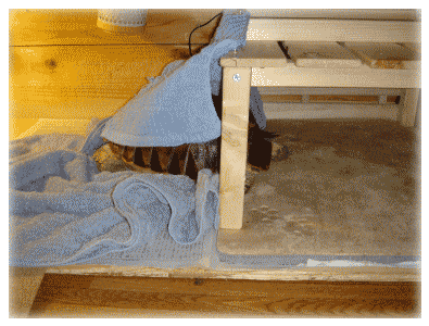 b0055276_2213148.gif