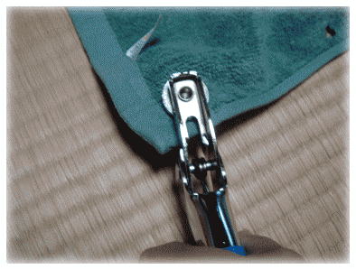 b0055276_22212227.gif
