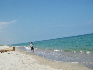 c0005602_183123.jpg