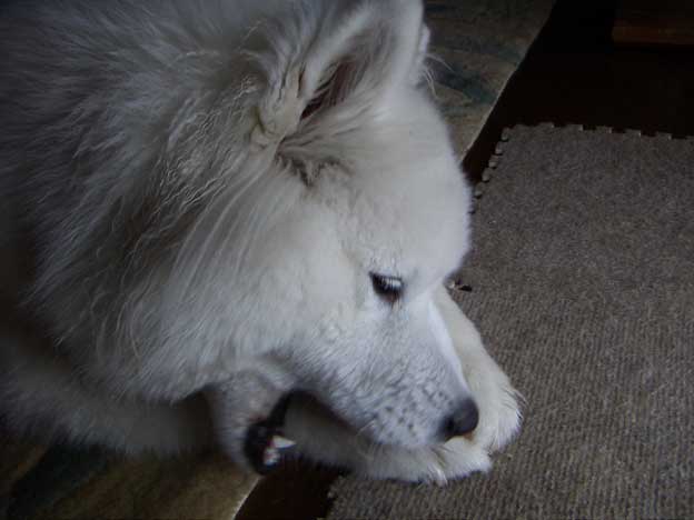 e0018604_1784915.jpg