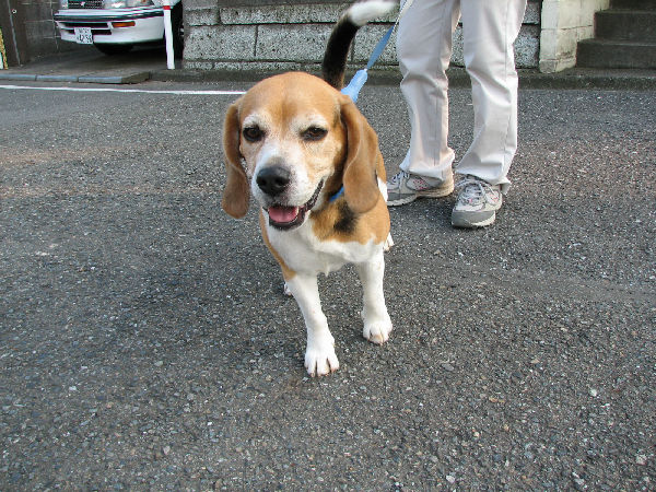 a0013905_01379.jpg