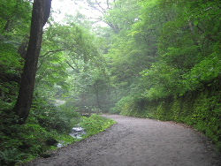 b0046210_0521179.jpg
