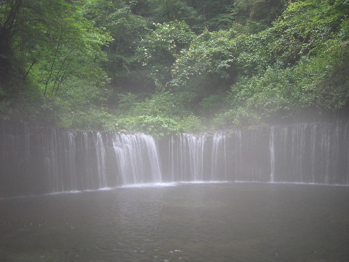 b0046210_1156.jpg