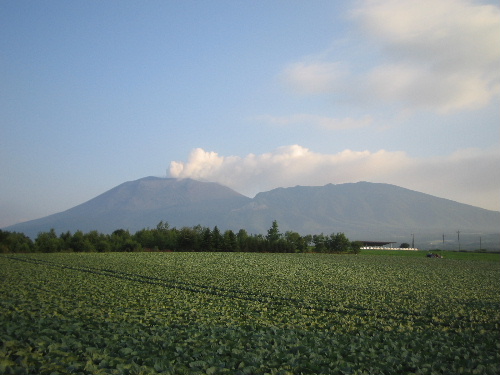b0046210_1164985.jpg