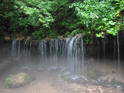 b0046210_154724.jpg