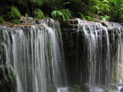 b0046210_161334.jpg